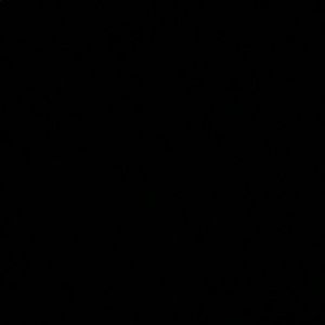 Meet your Posher, Dennis